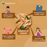 BENTONG GINGER - E-COMMERCE IMAGE - Copy-4