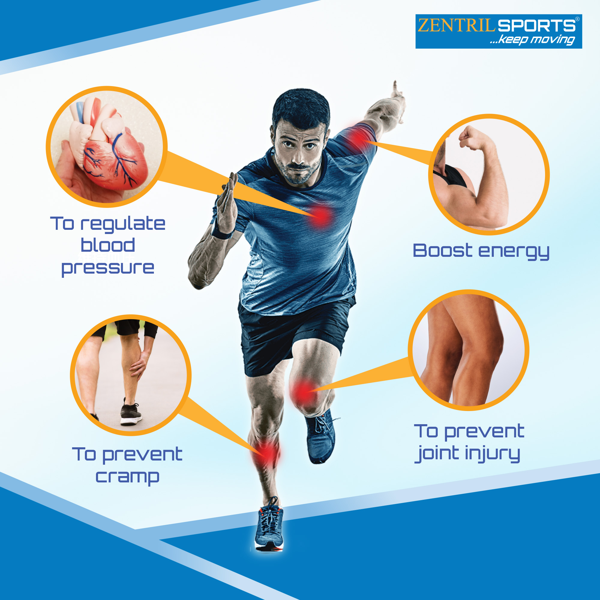 ZENTRIL SPORTS - E-COMMERCE DESIGN 2026-3