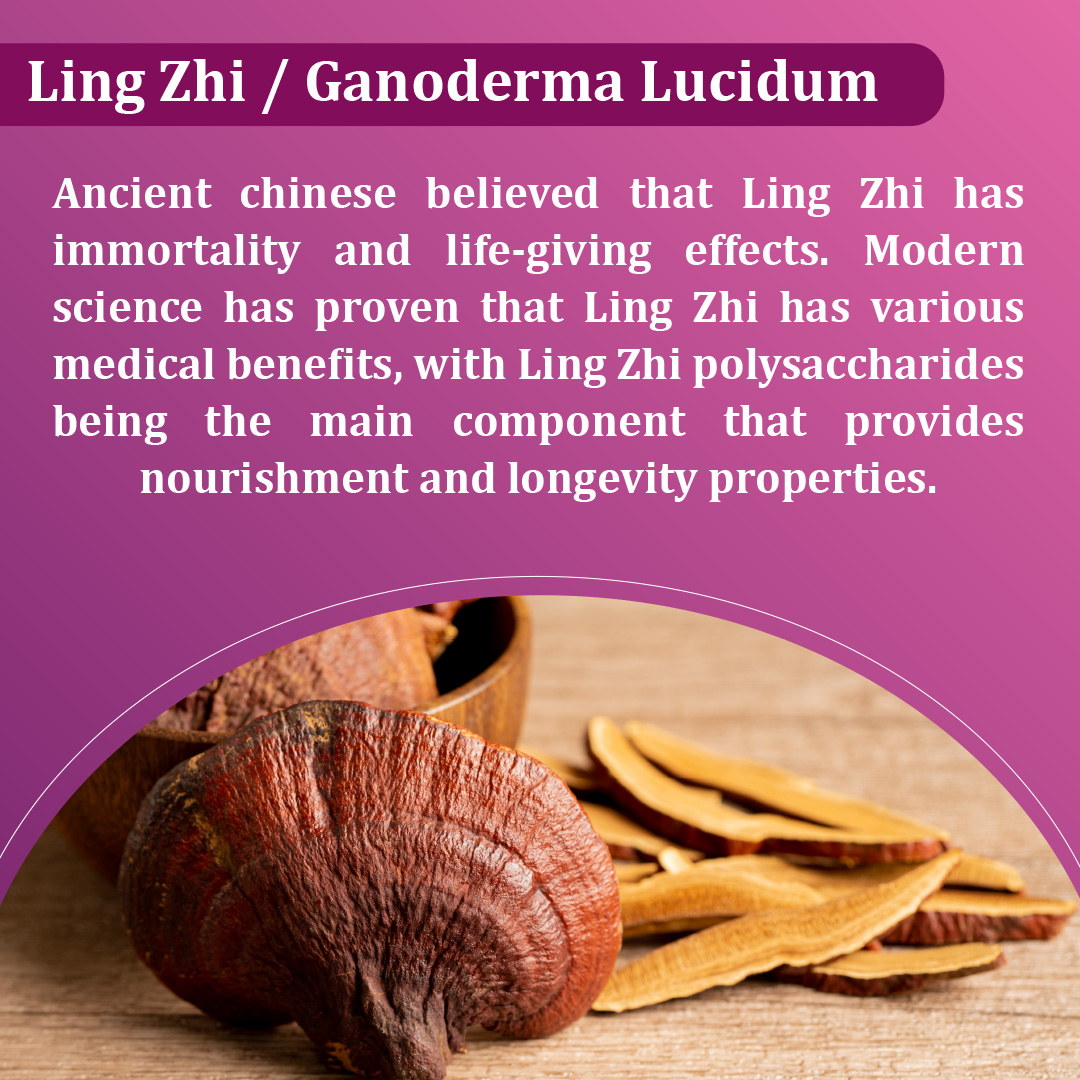 LING ZHI - E-COMMERCE IMAGE-2