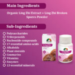 LING ZHI - E-COMMERCE IMAGE-3